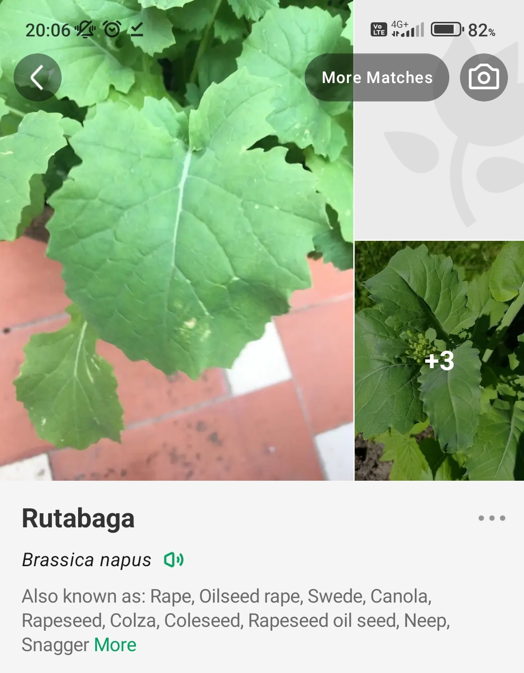 Συνημμένη εικόνα 98957