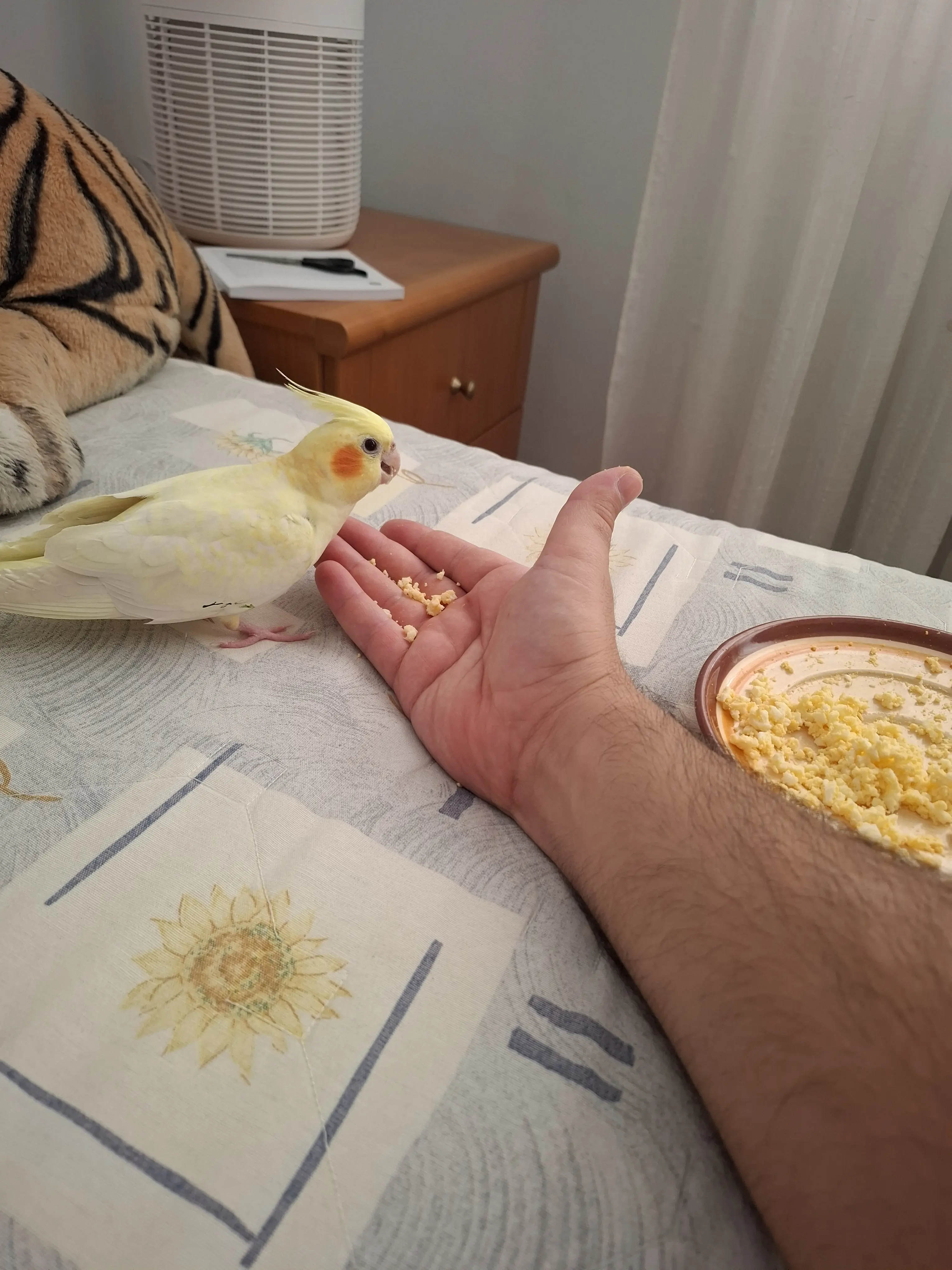 Συνημμένη εικόνα 98989