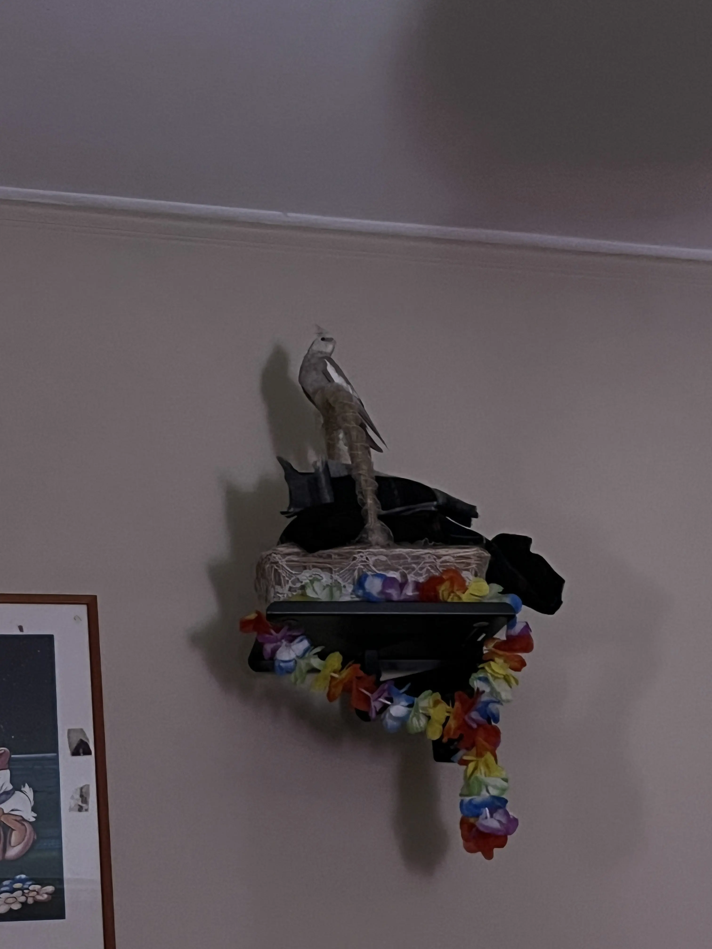 Συνημμένη εικόνα 99069