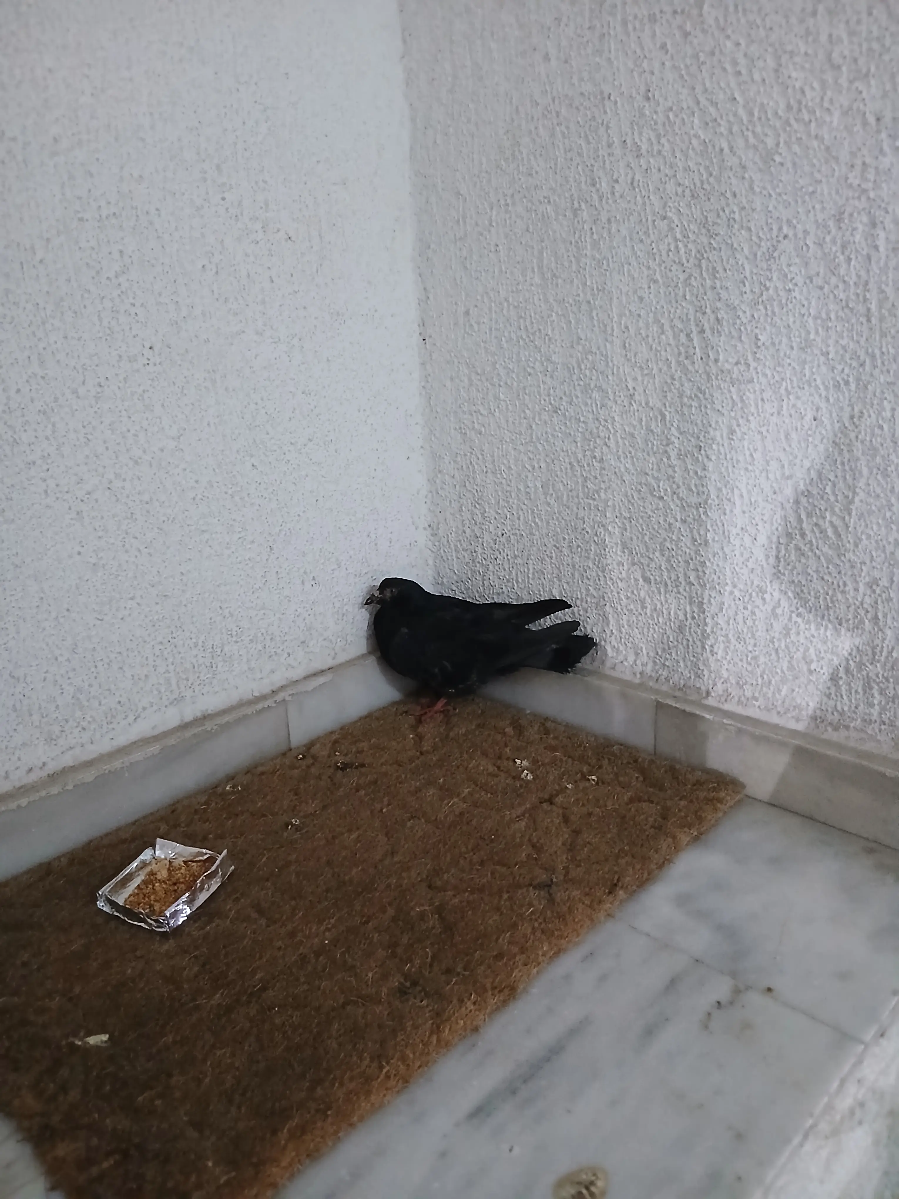 Συνημμένη εικόνα 99195