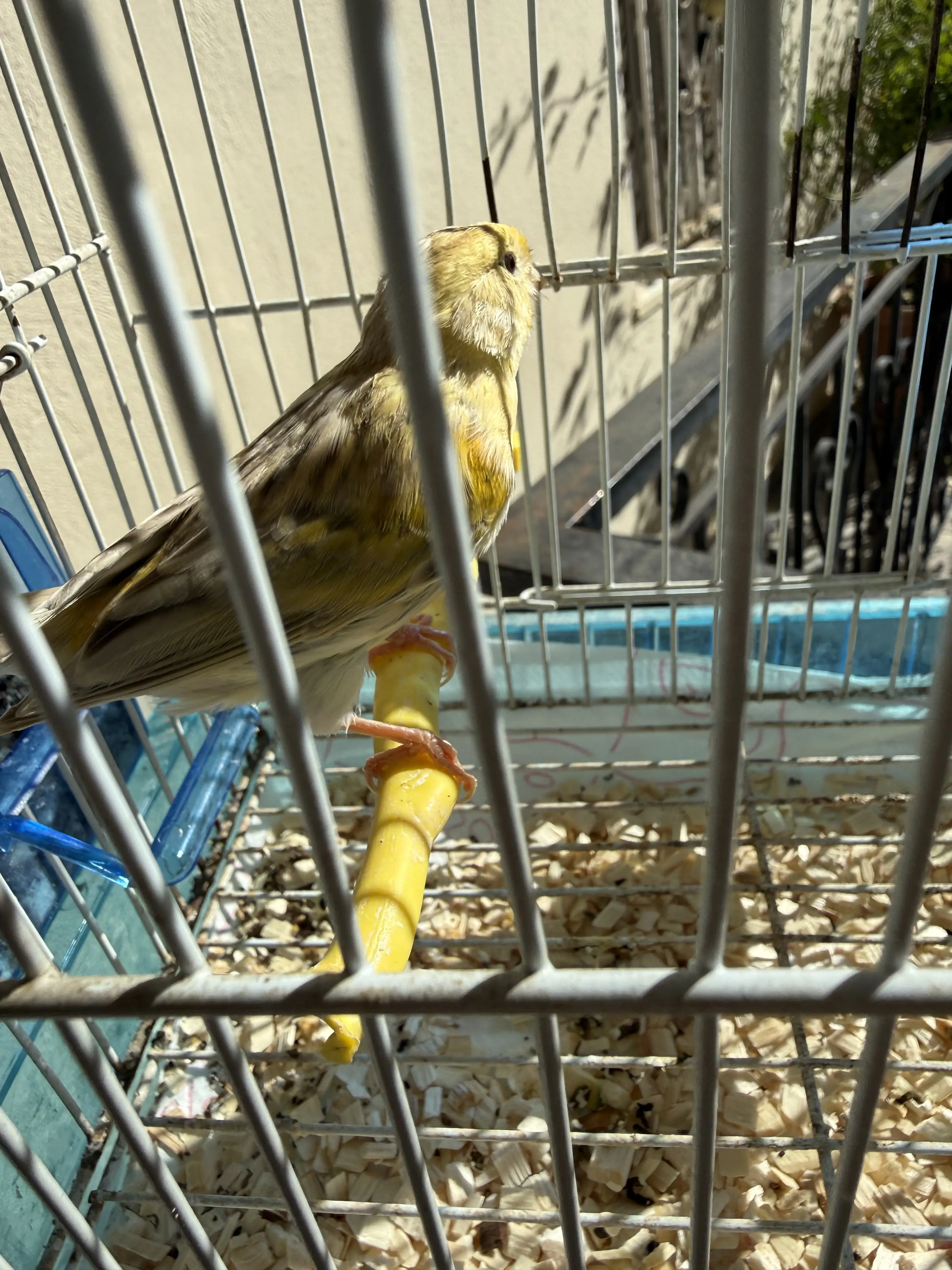 Συνημμένη εικόνα 99296