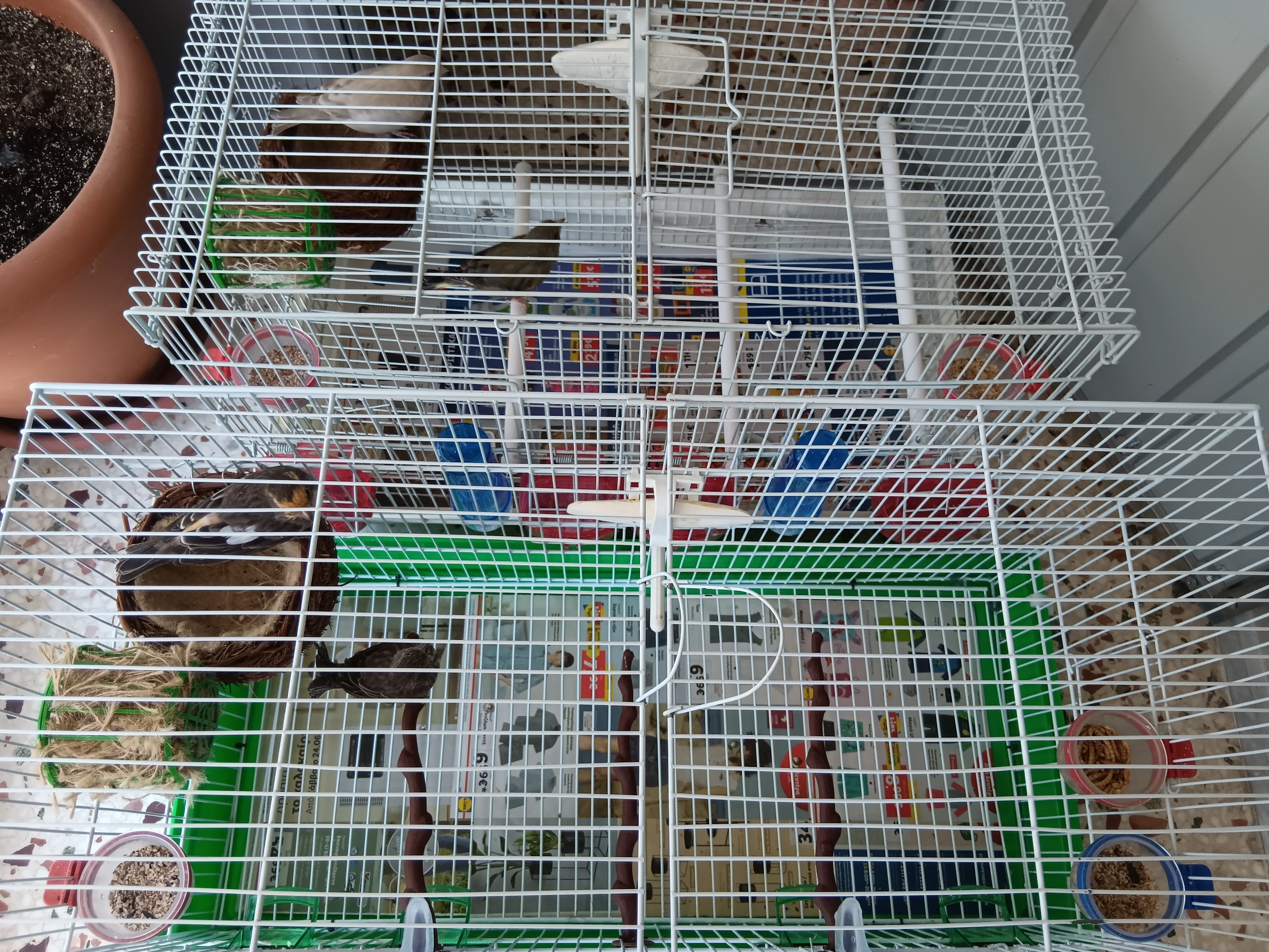 Συνημμένη εικόνα 99384